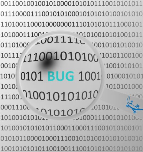 Software support and maintenance